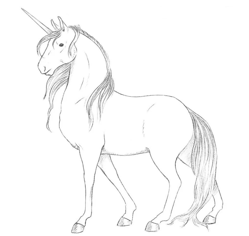 Photo of Step by step instructions on How to Draw a Unicorn for Kids