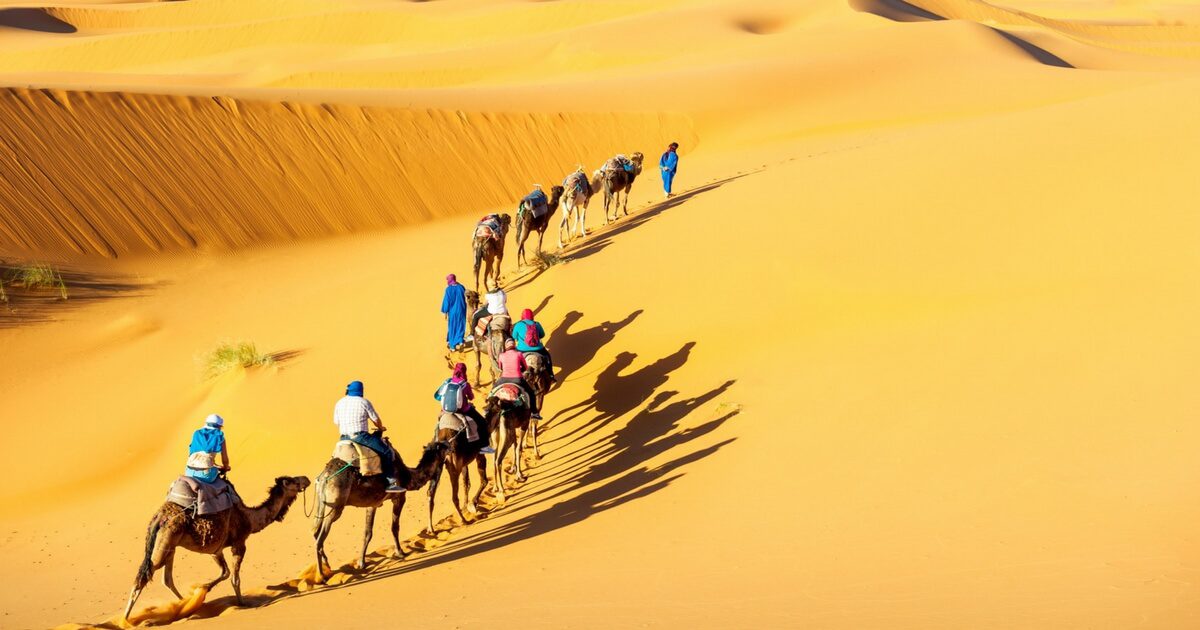 Photo of Camel Safari In Jaisalmer – 8 Important Tips
