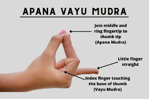 Know about Yoga Mudra posture