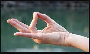 Know about Yoga Mudra posture
