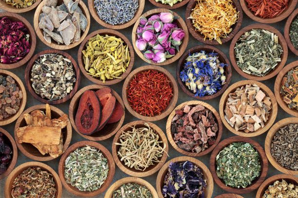 Photo of Top 6 Ayurvedic Herbs and Their Benefits