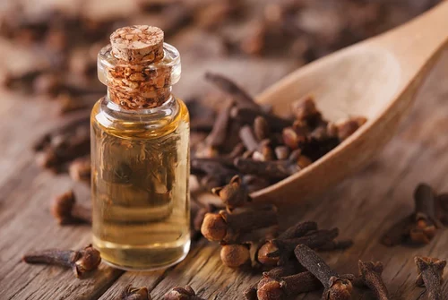 Photo of Discover the Remarkable Benefits of Clove Oil for Men