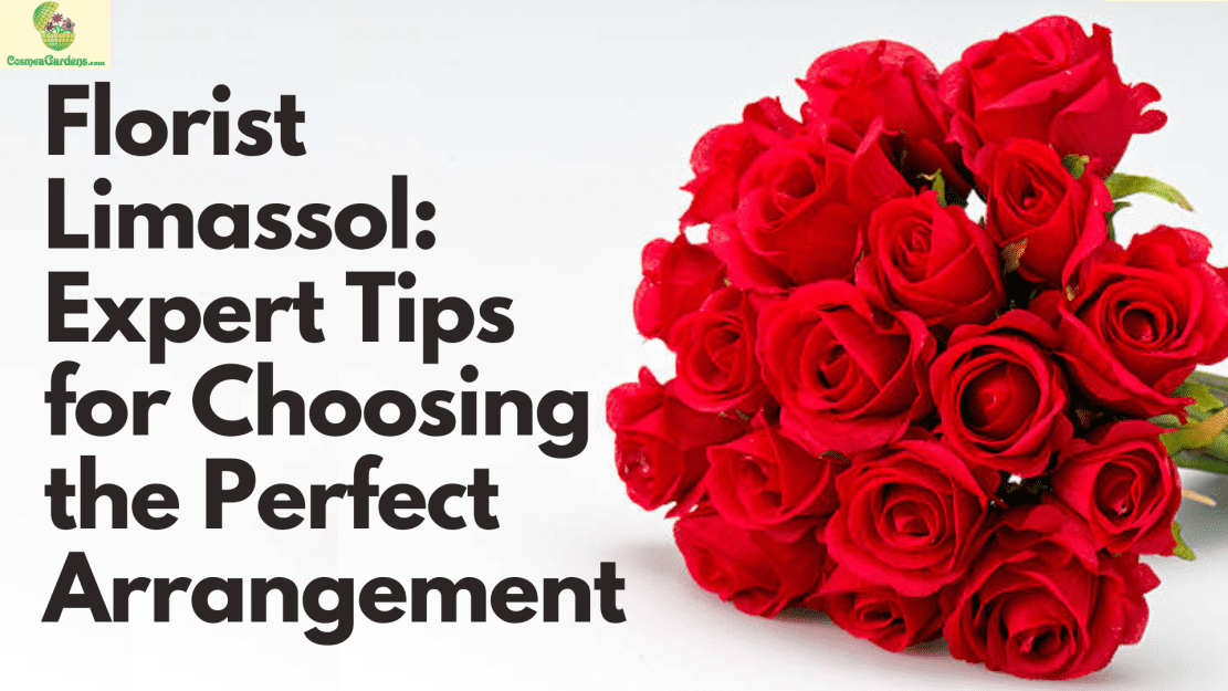 Photo of Florist Limassol: Expert Tips for Choosing the Perfect Arrangement