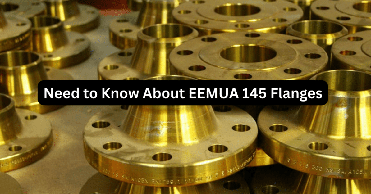 Photo of Need to Know About EEMUA 145 Flanges