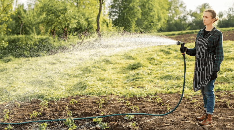 Photo of How Residential Irrigation Systems Can Save Water and Money