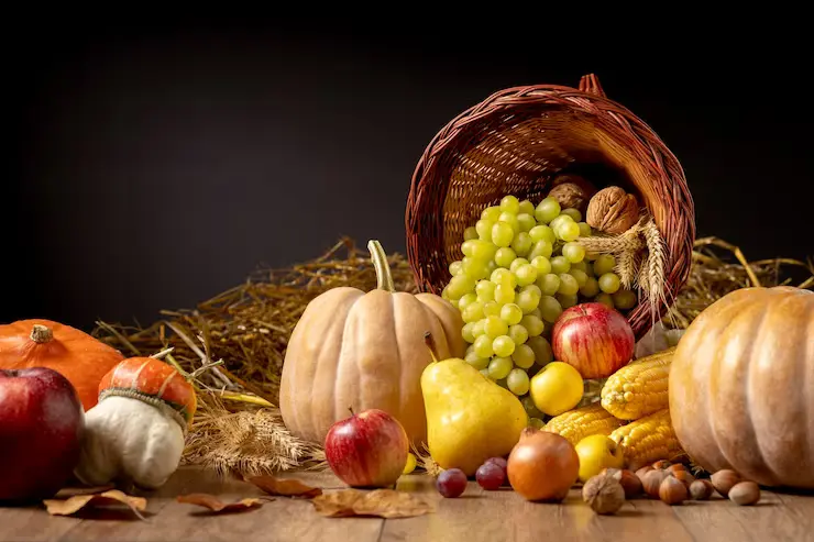 Photo of Explore the Secrets of a Bountiful Harvest